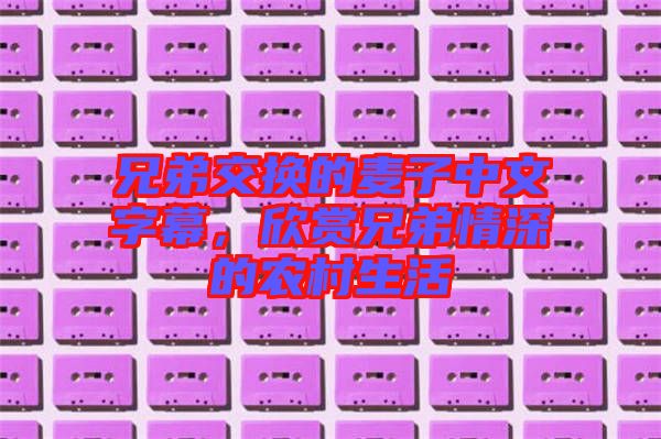 兄弟交換的麥子中文字幕，欣賞兄弟情深的農(nóng)村生活