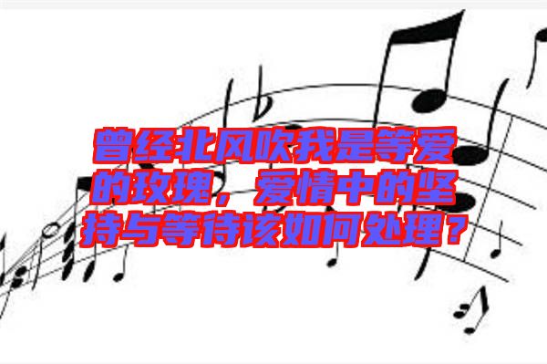 曾經(jīng)北風(fēng)吹我是等愛(ài)的玫瑰，愛(ài)情中的堅(jiān)持與等待該如何處理？