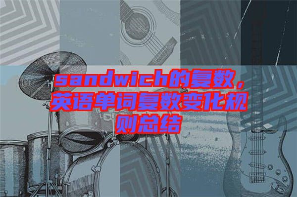 sandwich的復(fù)數(shù)，英語單詞復(fù)數(shù)變化規(guī)則總結(jié)