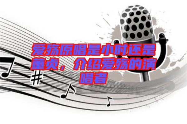 愛殤原唱是小時還是董貞，介紹愛殤的演唱者