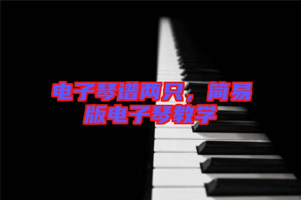電子琴譜兩只，簡易版電子琴教學