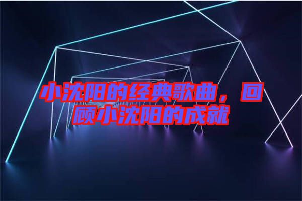 小沈陽的經(jīng)典歌曲，回顧小沈陽的成就