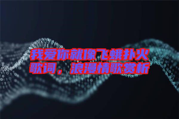 我愛你就像飛蛾撲火歌詞，浪漫情歌賞析