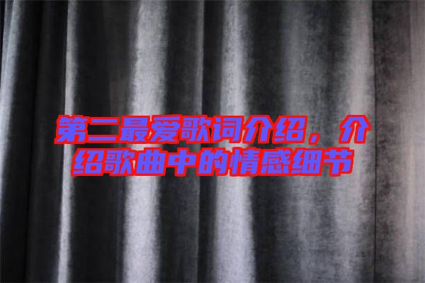 第二最愛(ài)歌詞介紹，介紹歌曲中的情感細(xì)節(jié)