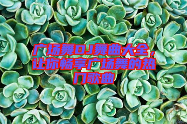 廣場舞DJ舞曲大全，讓你暢享廣場舞的熱門歌曲