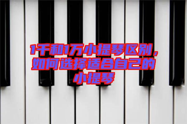 1千和1萬小提琴區(qū)別，如何選擇適合自己的小提琴