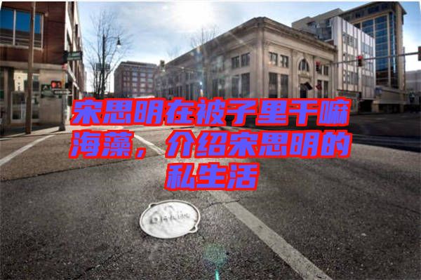 宋思明在被子里干嘛海藻，介紹宋思明的私生活