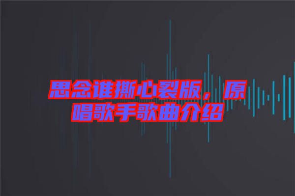思念誰撕心裂版，原唱歌手歌曲介紹