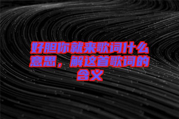 好膽你就來歌詞什么意思，解這首歌詞的含義