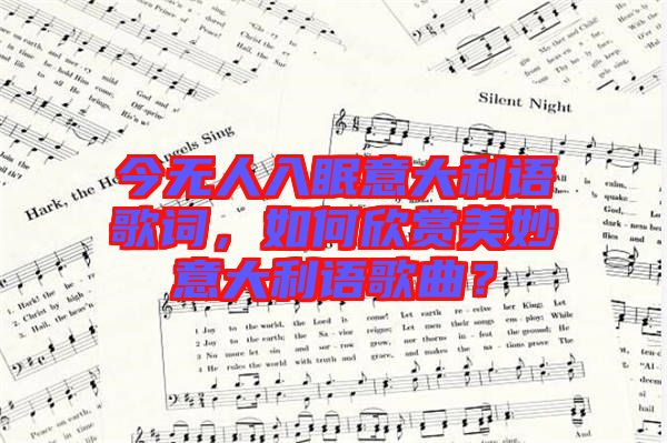 今無人入眠意大利語歌詞，如何欣賞美妙意大利語歌曲？