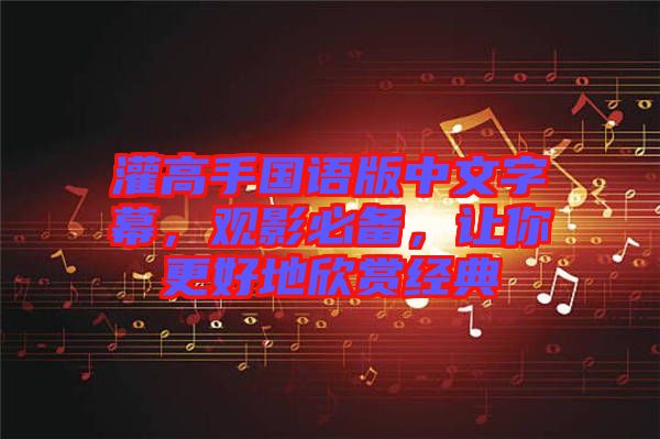 灌高手國(guó)語(yǔ)版中文字幕，觀影必備，讓你更好地欣賞經(jīng)典