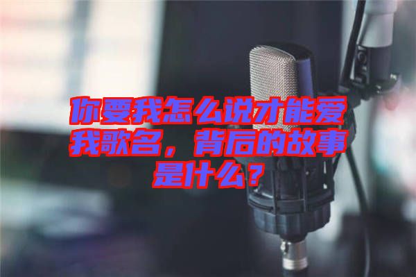 你要我怎么說才能愛我歌名，背后的故事是什么？