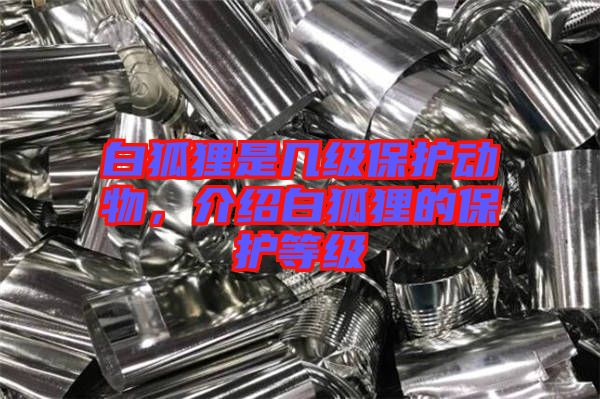 白狐貍是幾級保護動物，介紹白狐貍的保護等級