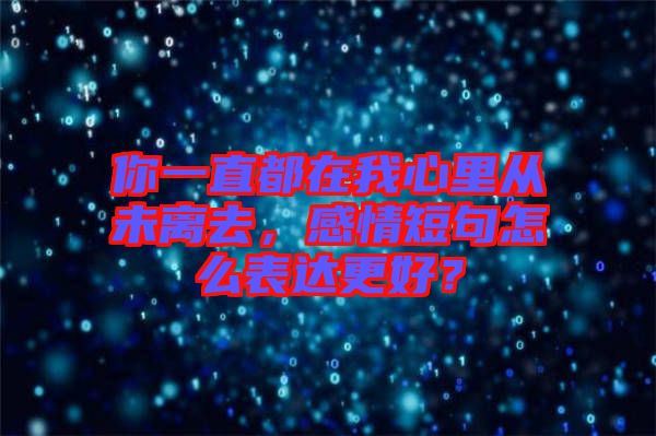 你一直都在我心里從未離去，感情短句怎么表達更好？