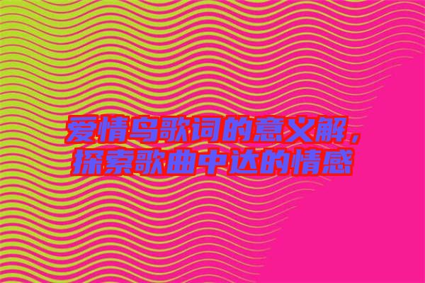 愛情鳥歌詞的意義解，探索歌曲中達(dá)的情感