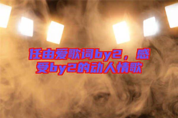 任由愛(ài)歌詞by2，感受by2的動(dòng)人情歌