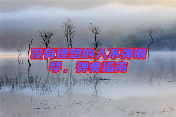 沒有理想的人不彈鋼琴，彈奏指南
