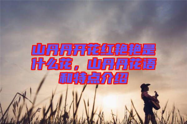 山丹丹開(kāi)花紅艷艷是什么花，山丹丹花語(yǔ)和特點(diǎn)介紹