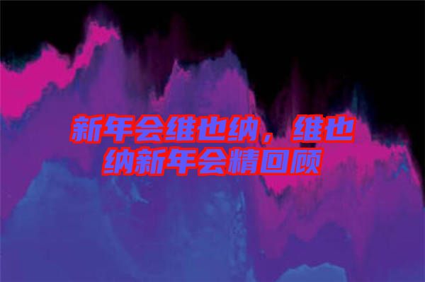 新年會(huì)維也納，維也納新年會(huì)精回顧