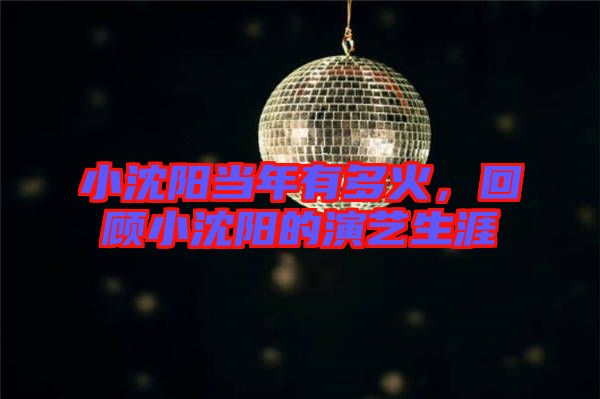 小沈陽當(dāng)年有多火，回顧小沈陽的演藝生涯