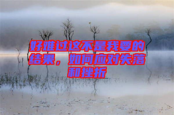 好難過這不是我要的結(jié)果，如何應(yīng)對失落和挫折