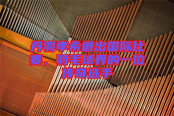 丹羽孝希退出國際比賽，羽毛球界的一位傳奇選手