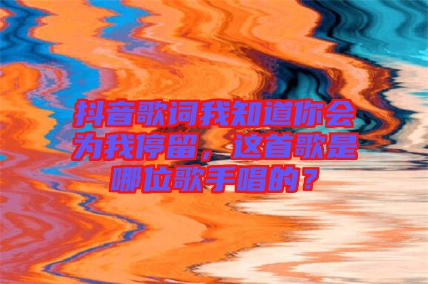 抖音歌詞我知道你會(huì)為我停留，這首歌是哪位歌手唱的？
