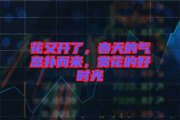 花又開了，春天的氣息撲而來，賞花的好時光