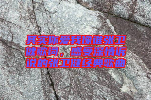 其實你愛我像誰張衛(wèi)健歌詞，感受深情訴說的張衛(wèi)健經(jīng)典歌曲