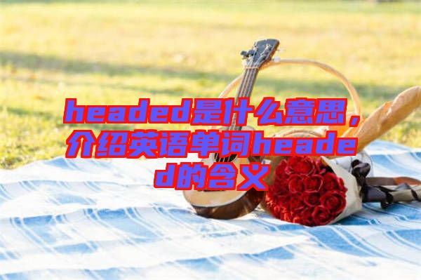 headed是什么意思，介紹英語(yǔ)單詞headed的含義