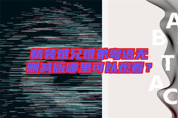 精裝難兄難弟粵語無刪減版哪里可以觀看？