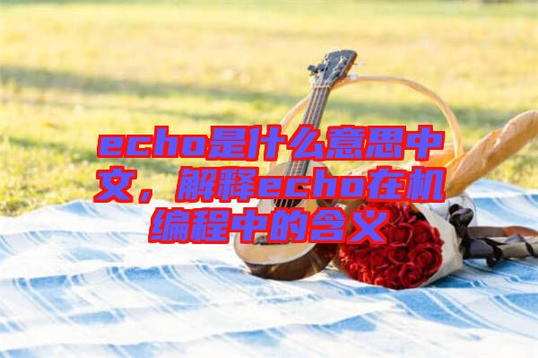 echo是什么意思中文，解釋echo在機編程中的含義