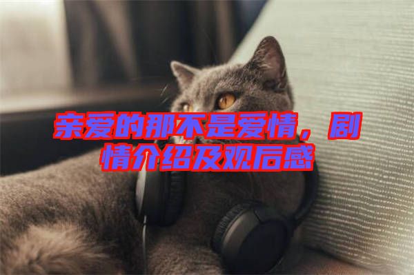親愛的那不是愛情，劇情介紹及觀后感