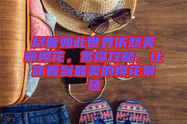 盡管如此世界依然美麗櫻花，賞櫻攻略，讓你看到最美的櫻花景色