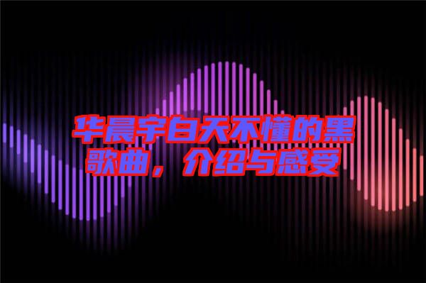 華晨宇白天不懂的黑歌曲，介紹與感受