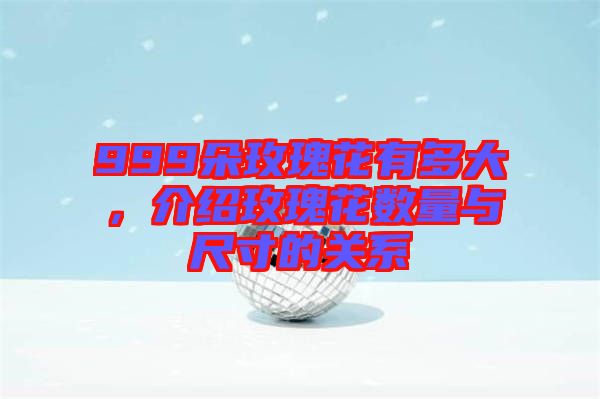 999朵玫瑰花有多大，介紹玫瑰花數(shù)量與尺寸的關(guān)系