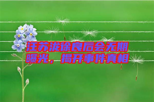 汪蘇瀧徐良后會無期曝光，揭開事件真相