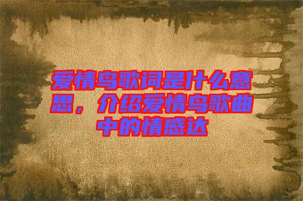 愛(ài)情鳥(niǎo)歌詞是什么意思，介紹愛(ài)情鳥(niǎo)歌曲中的情感達(dá)