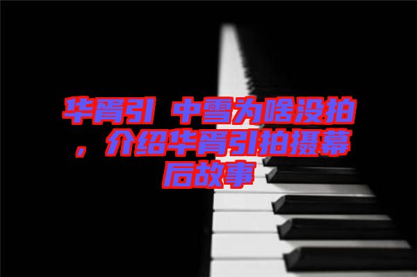 華胥引柸中雪為啥沒(méi)拍，介紹華胥引拍攝幕后故事