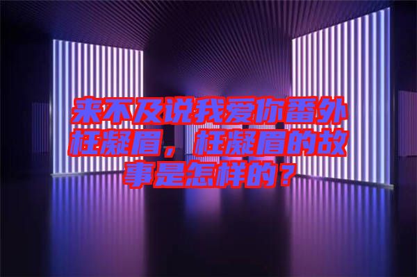 來不及說我愛你番外枉凝眉，枉凝眉的故事是怎樣的？