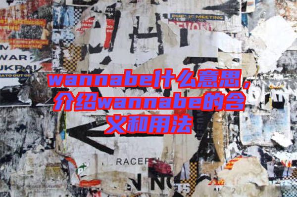 wannabe什么意思，介紹wannabe的含義和用法
