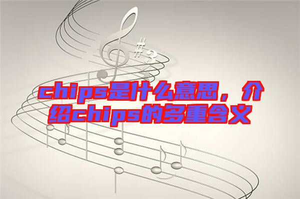 chips是什么意思，介紹chips的多重含義