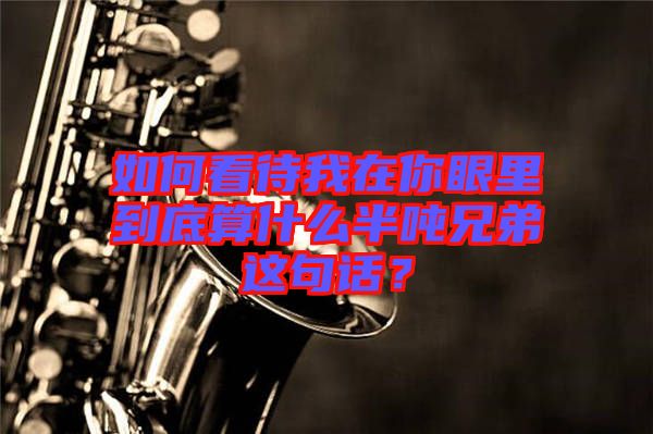 如何看待我在你眼里到底算什么半噸兄弟這句話？