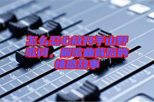 怎么忍心放開手山野歌詞，解歌曲背后的情感故事