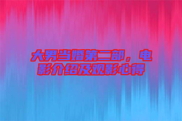 大男當(dāng)婚第二部，電影介紹及觀影心得