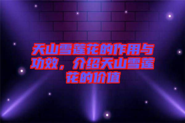 天山雪蓮花的作用與功效，介紹天山雪蓮花的價(jià)值