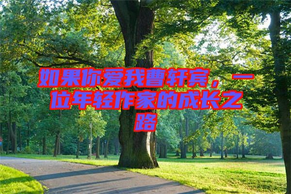 如果你愛(ài)我曹軒賓，一位年輕作家的成長(zhǎng)之路