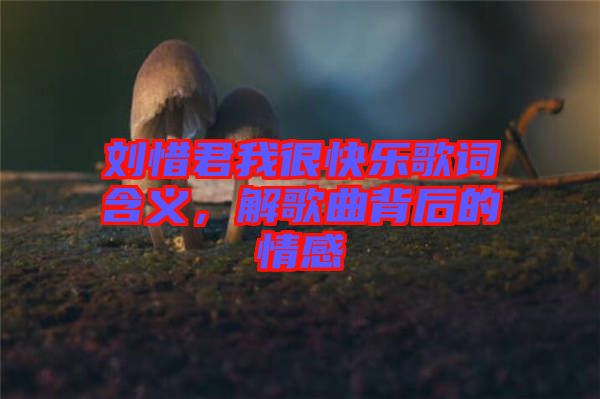 劉惜君我很快樂(lè)歌詞含義，解歌曲背后的情感