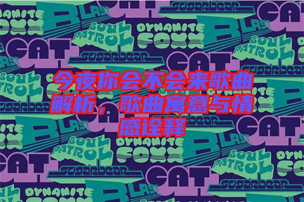 今夜你會(huì)不會(huì)來歌曲解析，歌曲寓意與情感詮釋