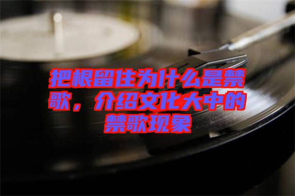 把根留住為什么是禁歌，介紹文化大中的禁歌現(xiàn)象